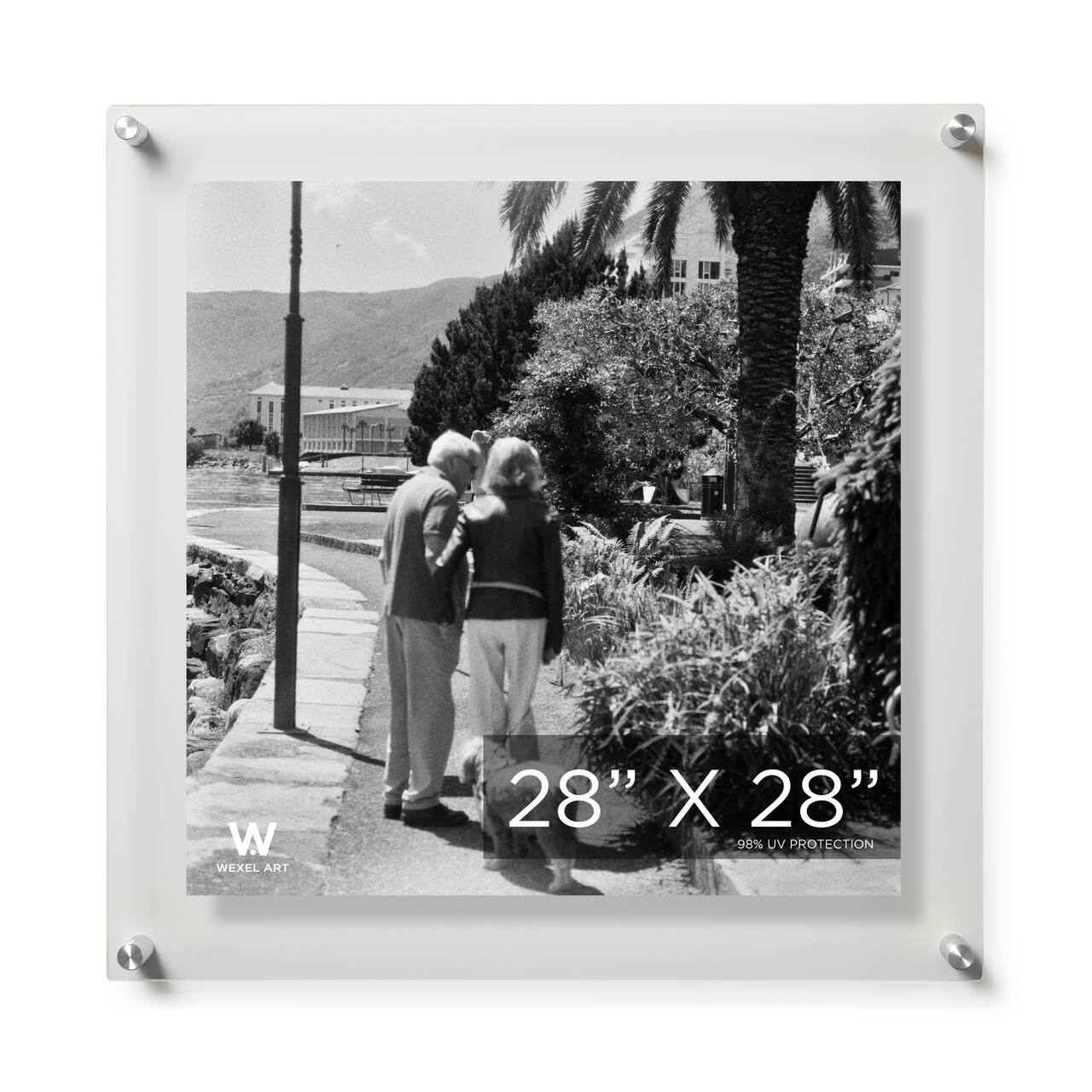 Wexel Art Double Panel Clear Acrylic Floating Wall Frame with Silver Hardware